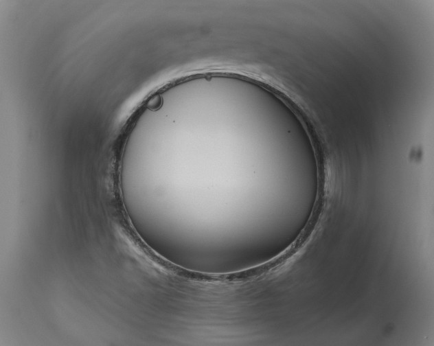 X0000115451502200911181534