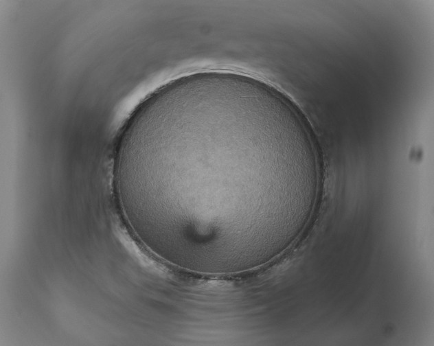 X0000115451503200911181534