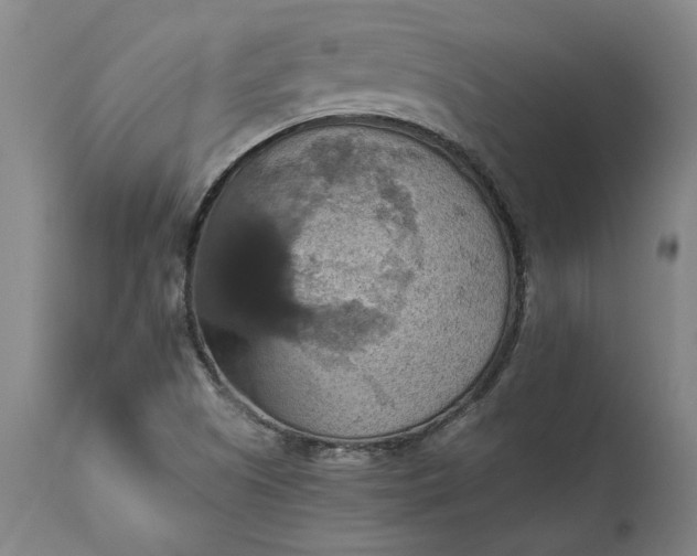 X0000115451505200911181534