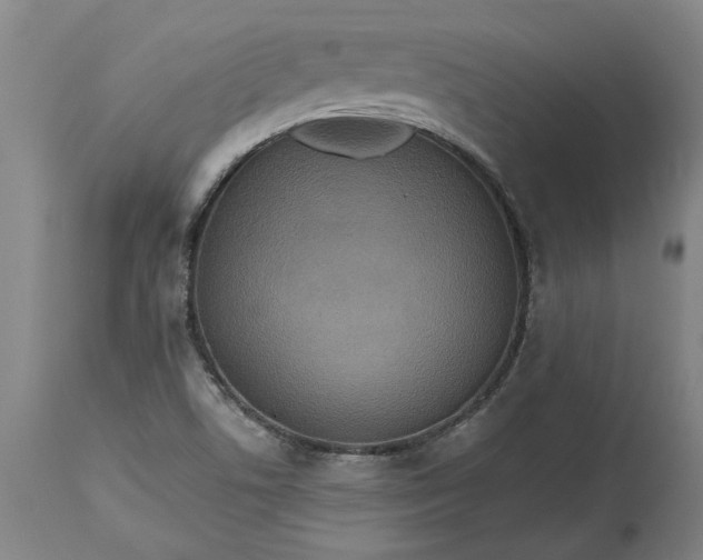 X0000115451506200911181534