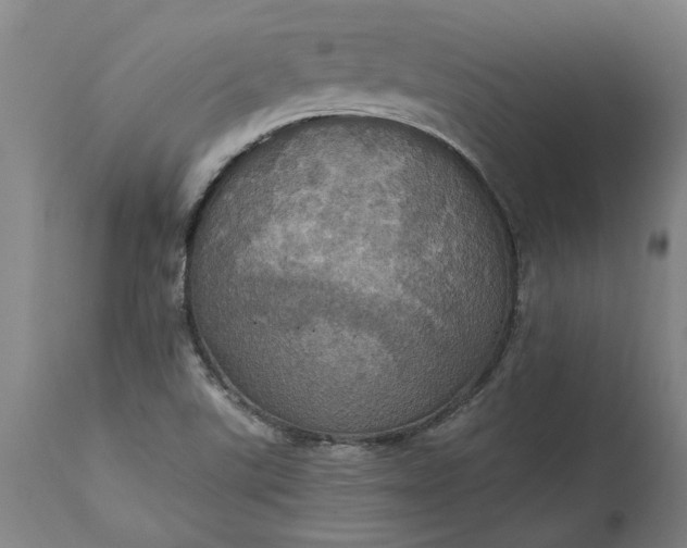 X0000115451507200911181534