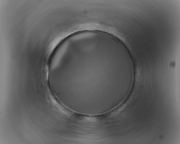 X0000115451509200911181534