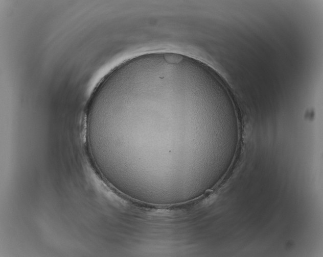 X0000115451510200911181534