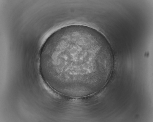 X0000115451511200911181534