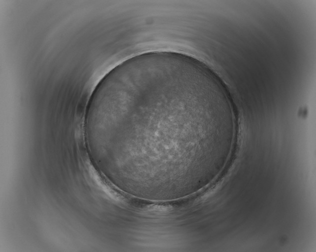 X0000115451513200911181534