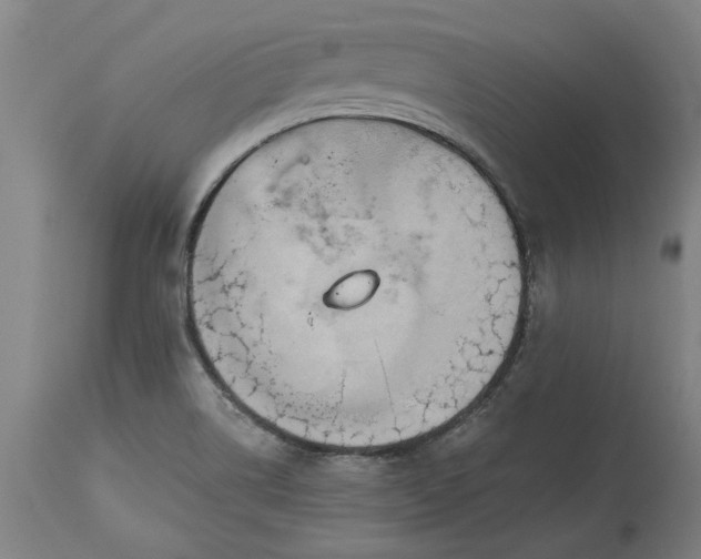 X0000115451514200911181534