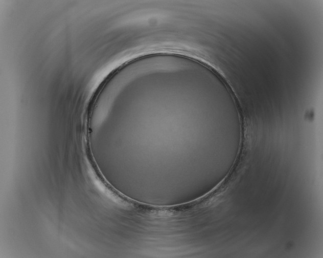 X0000115451515200911181535