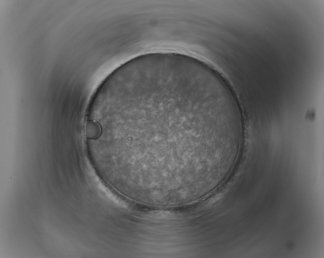 X0000115451517200911181535