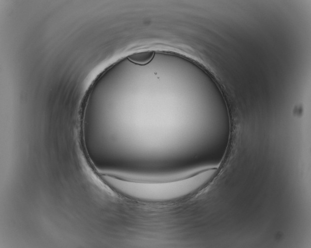 X0000115451518200911181535