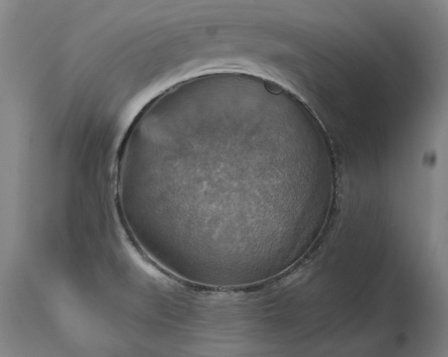 X0000115451519200911181535