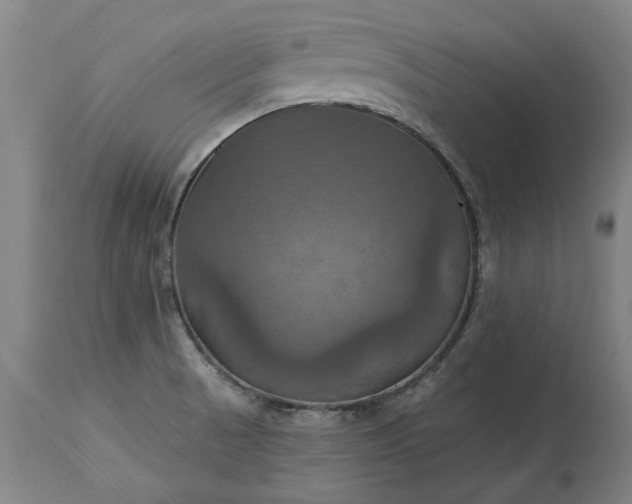 X0000115451521200911181535