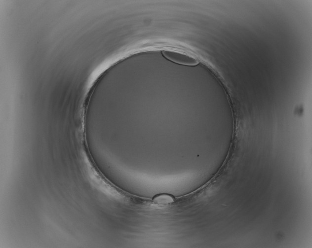 X0000115451522200911181535