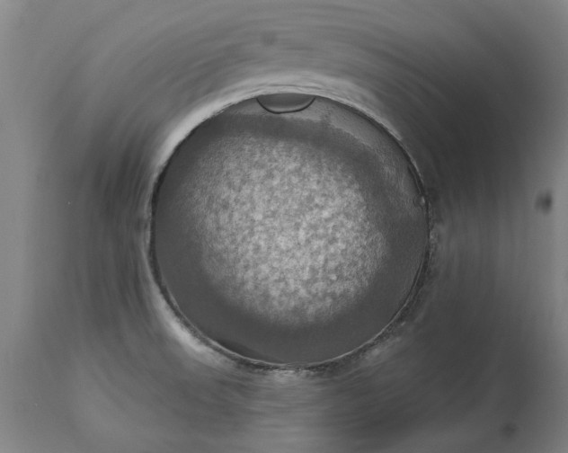 X0000115451523200911181535