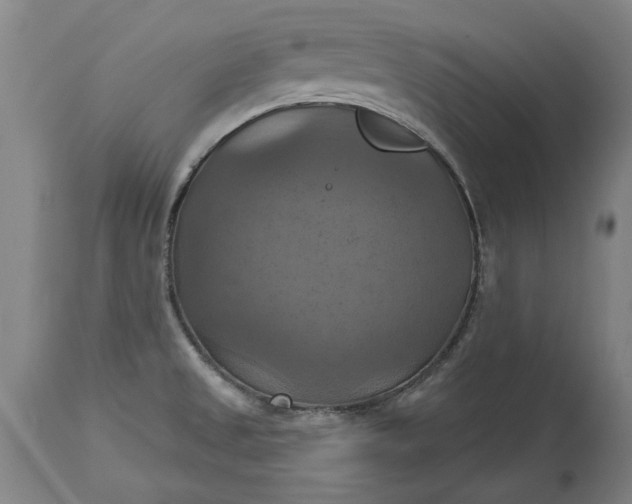 X0000115451525200911181535