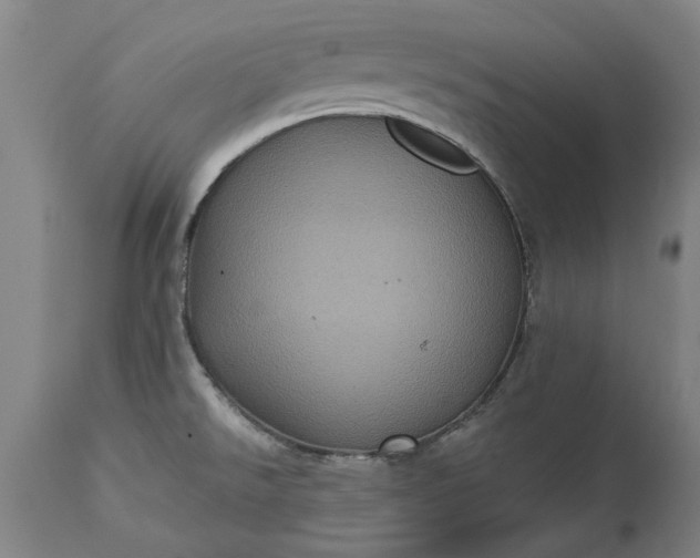 X0000115451526200911181535