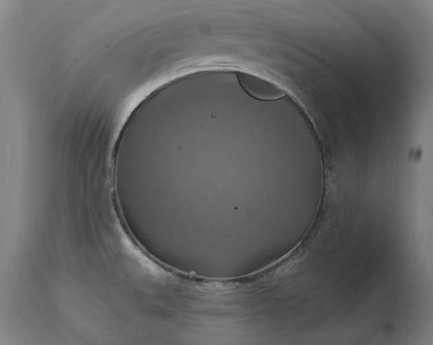 X0000115451527200911181535