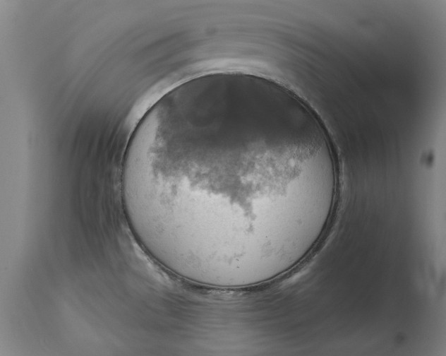 X0000115451529200911181535