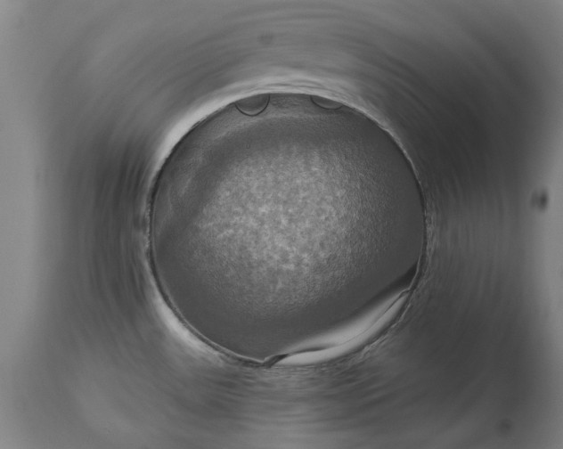 X0000115451531200911181535