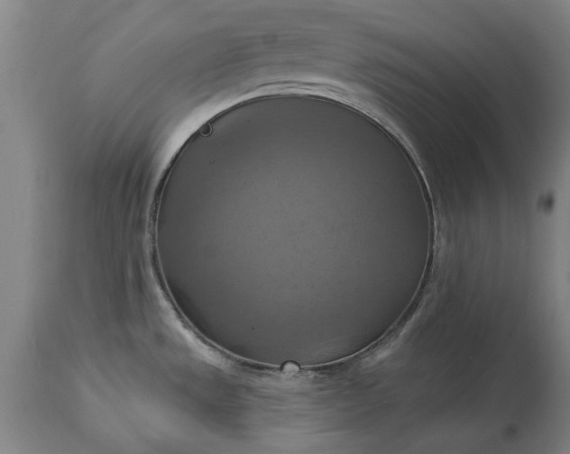 X0000115451533200911181535