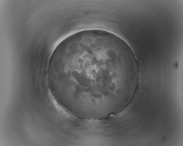 X0000115451534200911181535