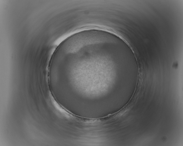 X0000115451535200911181535