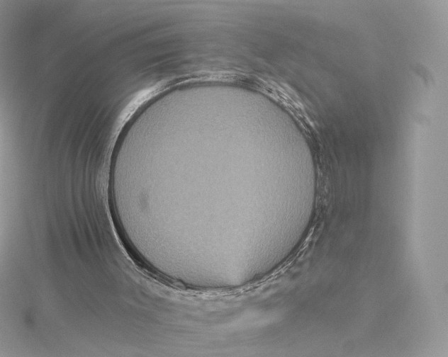 X0000115450003200911251316