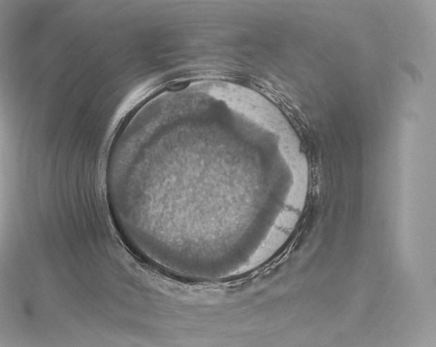 X0000115450004200911251316