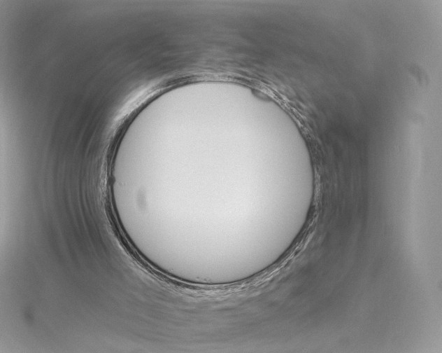 X0000115450005200911251316