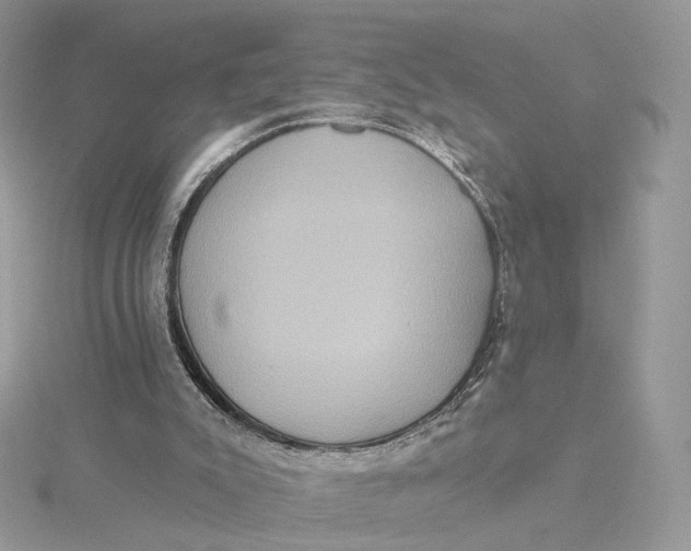 X0000115450007200911251316