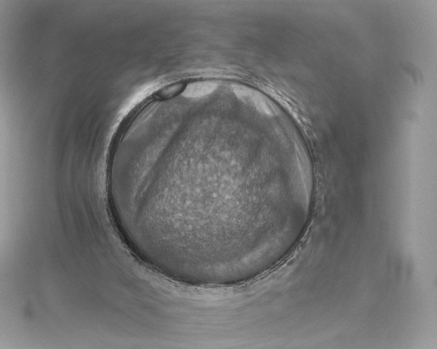 X0000115450008200911251316