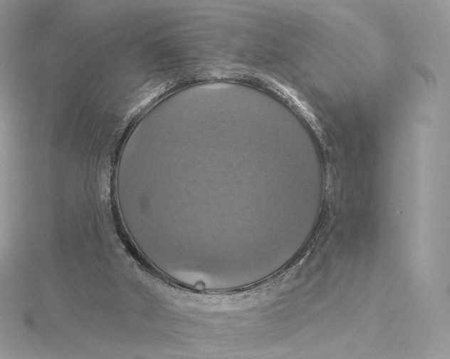 X0000115450010200911251316