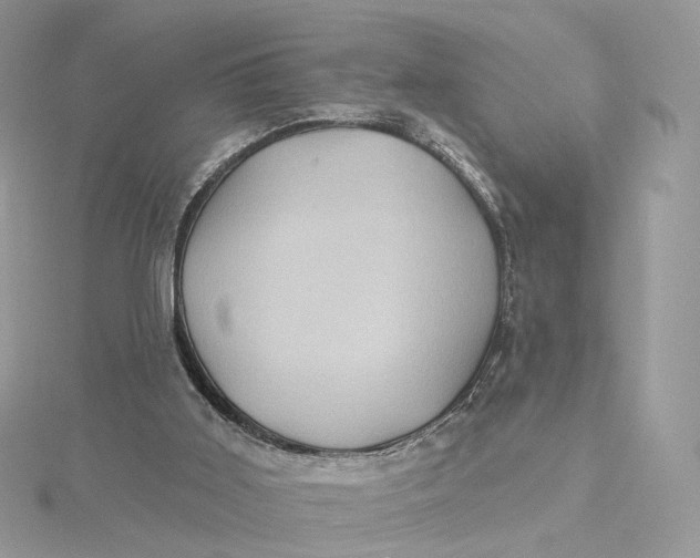 X0000115450011200911251316