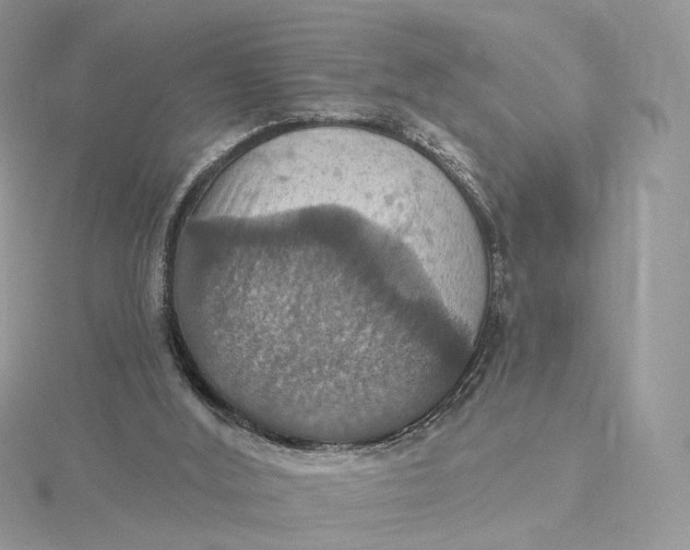 X0000115450012200911251316