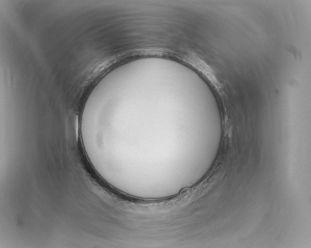 X0000115450013200911251316