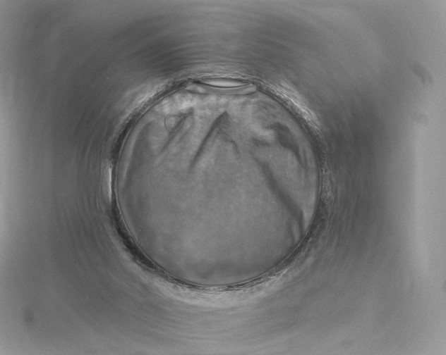 X0000115450014200911251316