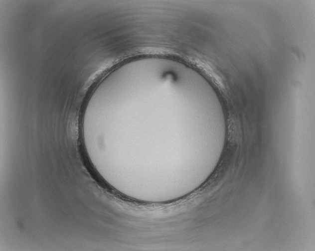 X0000115450015200911251316