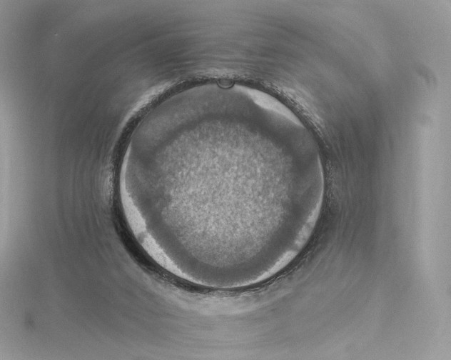 X0000115450016200911251316