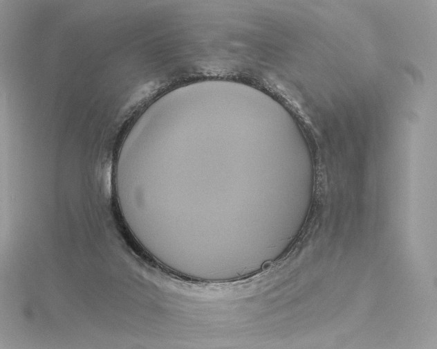 X0000115450019200911251316