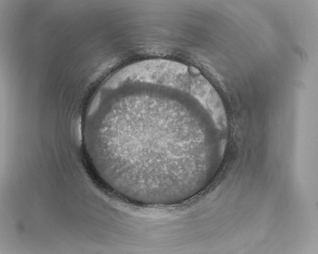 X0000115450020200911251316