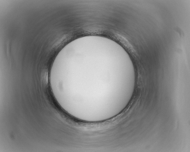 X0000115450021200911251316