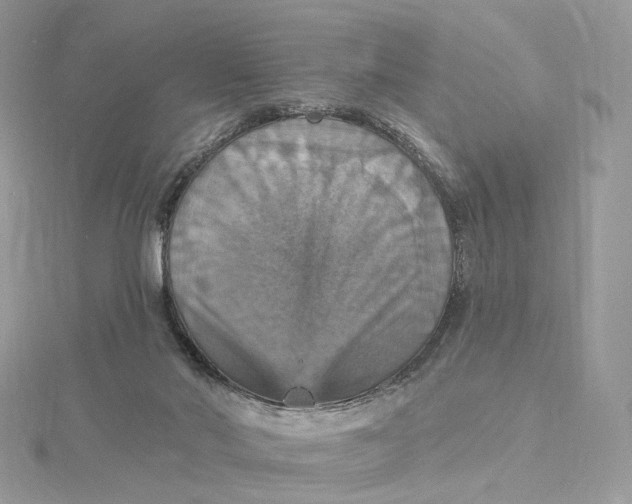 X0000115450022200911251316