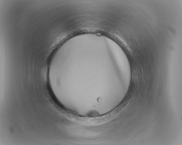 X0000115450023200911251316