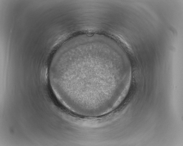 X0000115450024200911251316