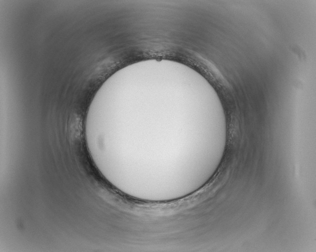 X0000115450025200911251316