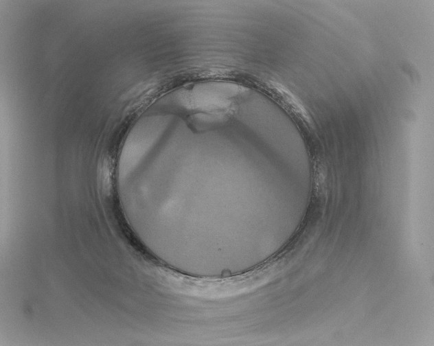 X0000115450026200911251316