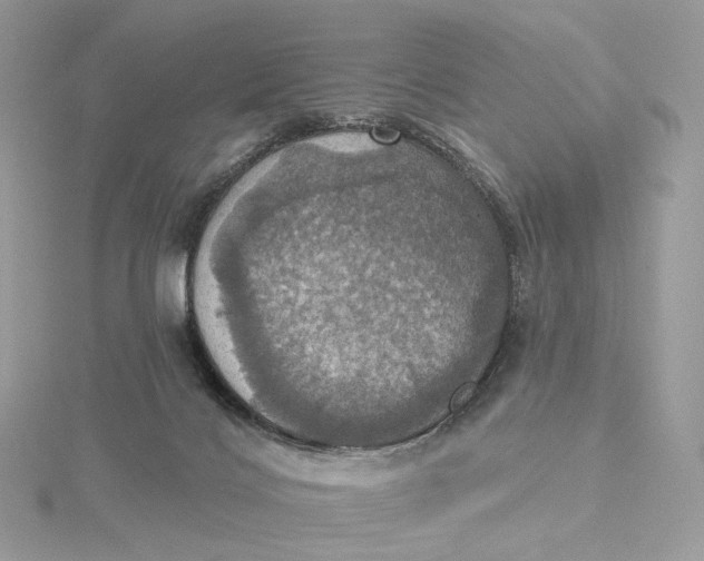 X0000115450028200911251316