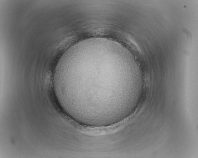 X0000115450029200911251316