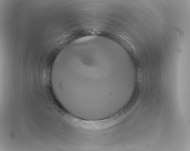 X0000115450030200911251316