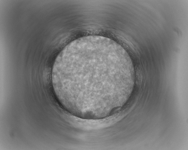 X0000115450034200911251316