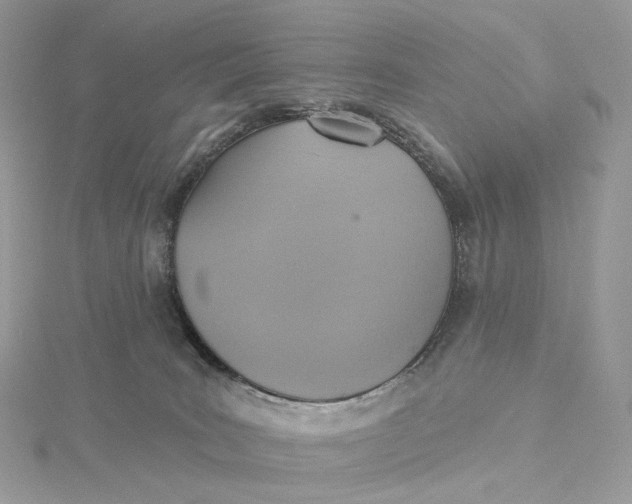 X0000115450035200911251316